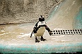 ueno park 35